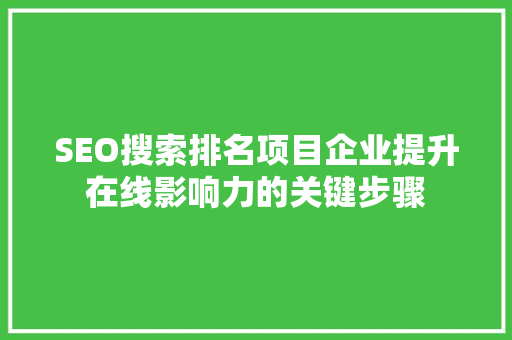 SEO搜索排名项目企业提升在线影响力的关键步骤