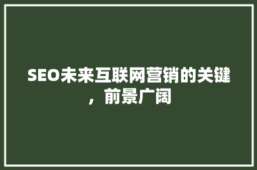 SEO未来互联网营销的关键，前景广阔
