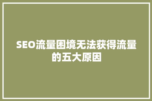 SEO流量困境无法获得流量的五大原因