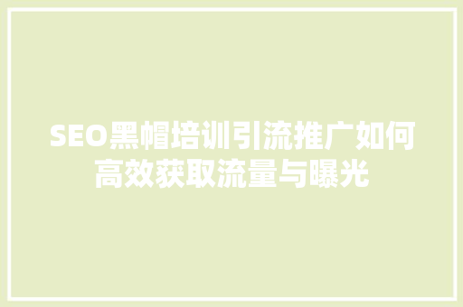 SEO黑帽培训引流推广如何高效获取流量与曝光