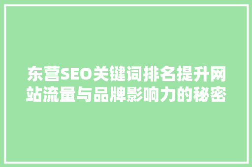 东营SEO关键词排名提升网站流量与品牌影响力的秘密武器