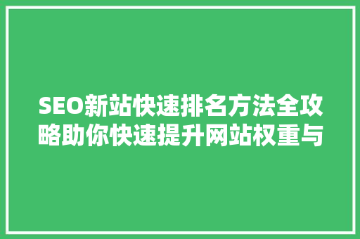 SEO新站快速排名方法全攻略助你快速提升网站权重与流量