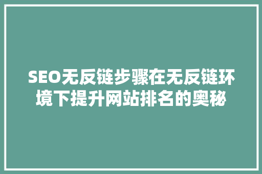 SEO无反链步骤在无反链环境下提升网站排名的奥秘