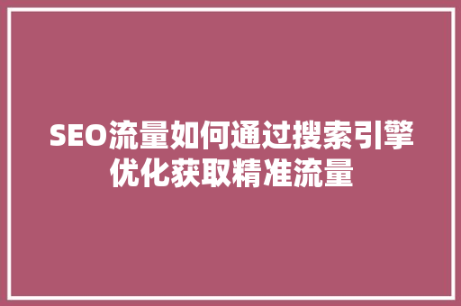 SEO流量如何通过搜索引擎优化获取精准流量
