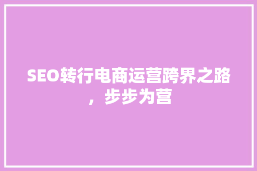SEO转行电商运营跨界之路，步步为营