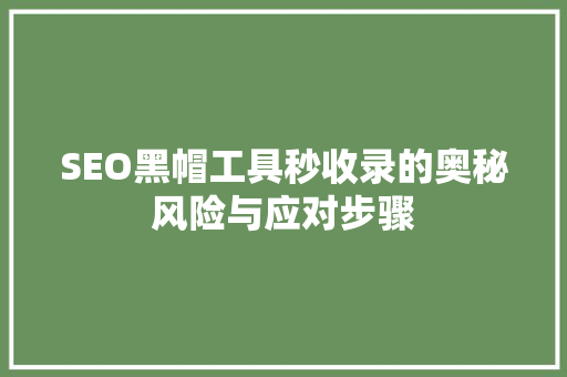 SEO黑帽工具秒收录的奥秘风险与应对步骤  第1张