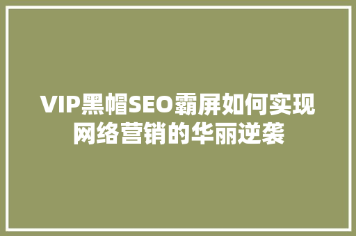 VIP黑帽SEO霸屏如何实现网络营销的华丽逆袭