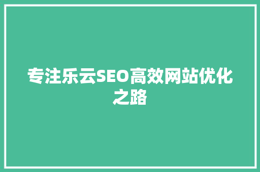 专注乐云SEO高效网站优化之路