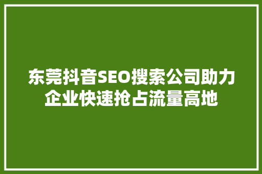东莞抖音SEO搜索公司助力企业快速抢占流量高地