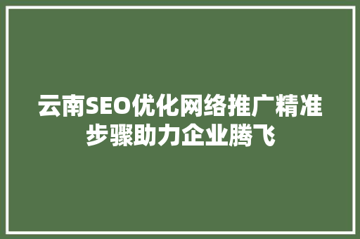 云南SEO优化网络推广精准步骤助力企业腾飞
