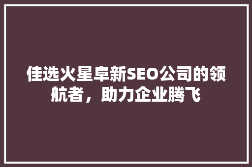 佳选火星阜新SEO公司的领航者，助力企业腾飞