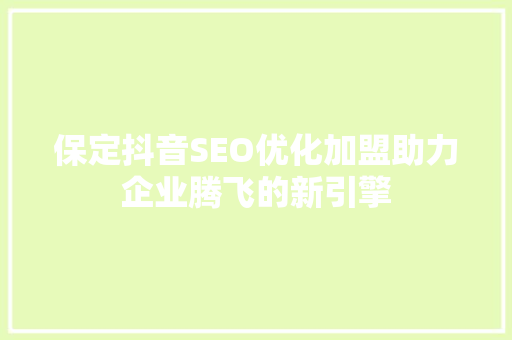 保定抖音SEO优化加盟助力企业腾飞的新引擎