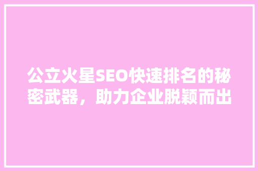 公立火星SEO快速排名的秘密武器，助力企业脱颖而出