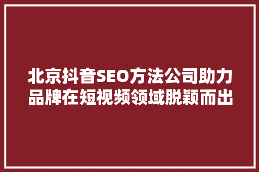 北京抖音SEO方法公司助力品牌在短视频领域脱颖而出