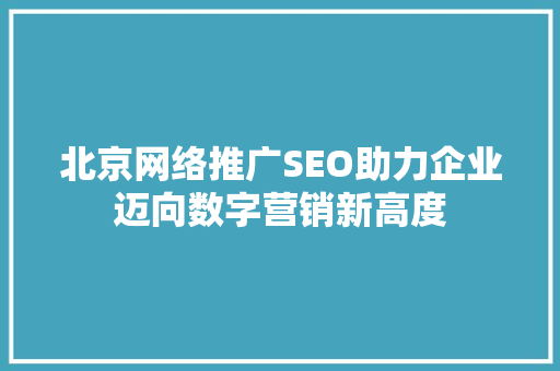 北京网络推广SEO助力企业迈向数字营销新高度
