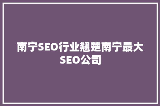 南宁SEO行业翘楚南宁最大SEO公司