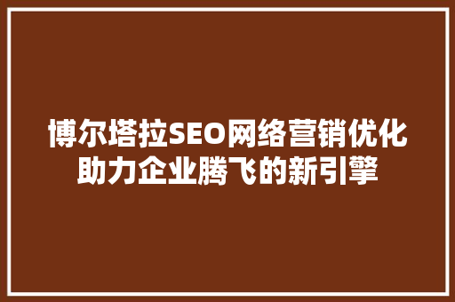 博尔塔拉SEO网络营销优化助力企业腾飞的新引擎