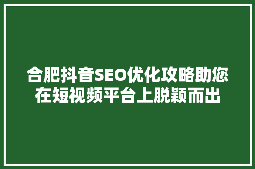 合肥抖音SEO优化攻略助您在短视频平台上脱颖而出
