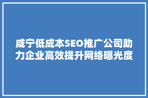 咸宁低成本SEO推广公司助力企业高效提升网络曝光度