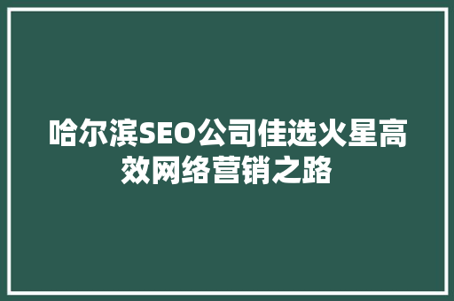 哈尔滨SEO公司佳选火星高效网络营销之路