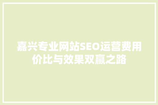 嘉兴专业网站SEO运营费用价比与效果双赢之路