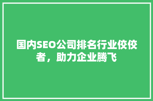 国内SEO公司排名行业佼佼者，助力企业腾飞