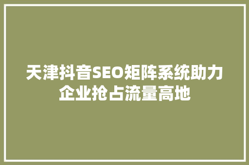 天津抖音SEO矩阵系统助力企业抢占流量高地