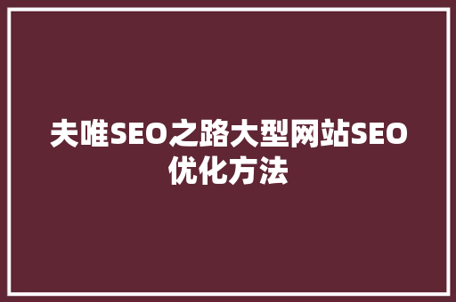夫唯SEO之路大型网站SEO优化方法