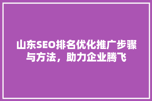 山东SEO排名优化推广步骤与方法，助力企业腾飞