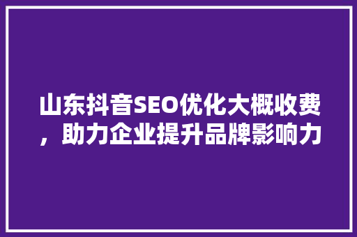 山东抖音SEO优化大概收费，助力企业提升品牌影响力