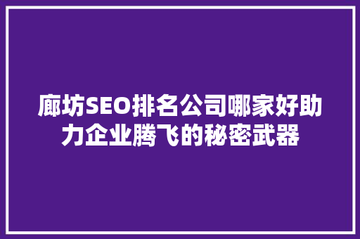 廊坊SEO排名公司哪家好助力企业腾飞的秘密武器