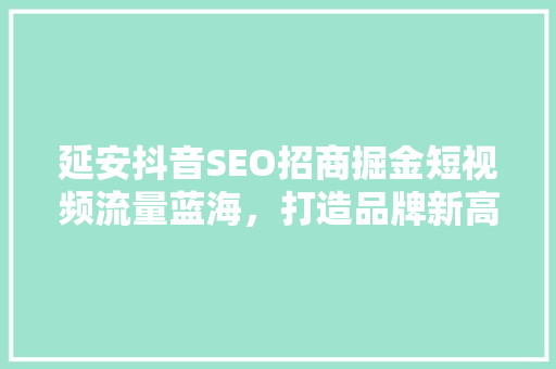 延安抖音SEO招商掘金短视频流量蓝海，打造品牌新高峰