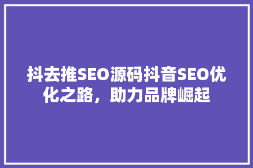 抖去推SEO源码抖音SEO优化之路，助力品牌崛起
