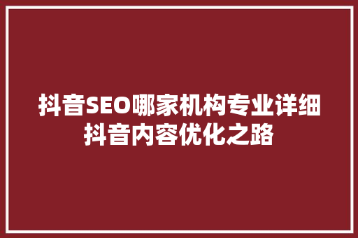 抖音SEO哪家机构专业详细抖音内容优化之路