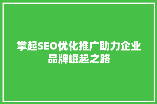 掌起SEO优化推广助力企业品牌崛起之路