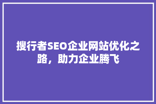 搜行者SEO企业网站优化之路，助力企业腾飞