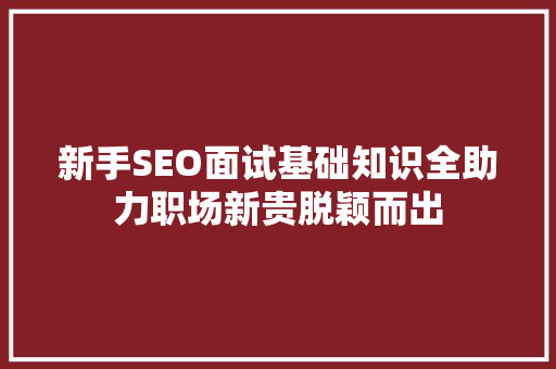新手SEO面试基础知识全助力职场新贵脱颖而出