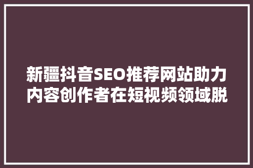 新疆抖音SEO推荐网站助力内容创作者在短视频领域脱颖而出