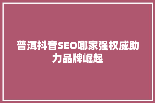 普洱抖音SEO哪家强权威助力品牌崛起