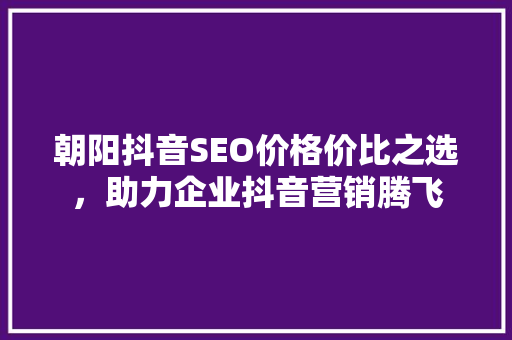 朝阳抖音SEO价格价比之选，助力企业抖音营销腾飞