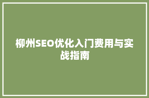 柳州SEO优化入门费用与实战指南