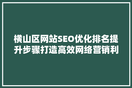 横山区网站SEO优化排名提升步骤打造高效网络营销利器