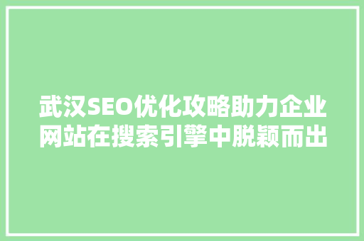 武汉SEO优化攻略助力企业网站在搜索引擎中脱颖而出
