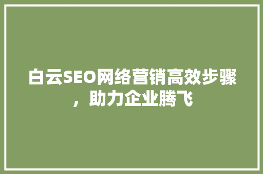 白云SEO网络营销高效步骤，助力企业腾飞