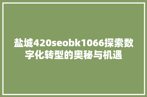 盐城420seobk1066探索数字化转型的奥秘与机遇