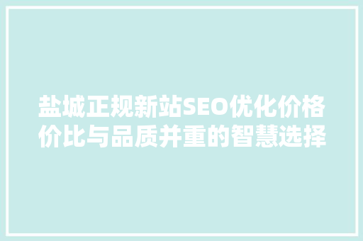 盐城正规新站SEO优化价格价比与品质并重的智慧选择