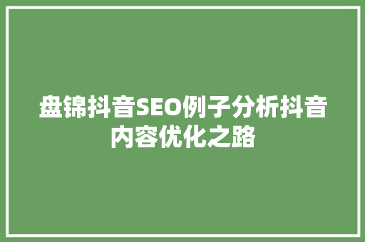盘锦抖音SEO例子分析抖音内容优化之路