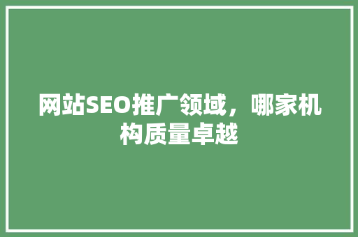 网站SEO推广领域，哪家机构质量卓越