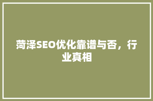 菏泽SEO优化靠谱与否，行业真相