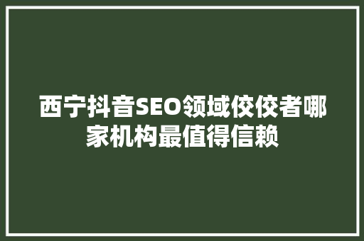 西宁抖音SEO领域佼佼者哪家机构最值得信赖